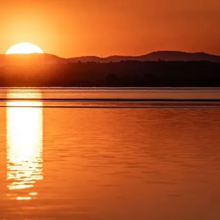 Le Flament Rose Kemp *
